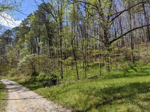 00 Windy Poplar Rd, Franklin, NC 28734