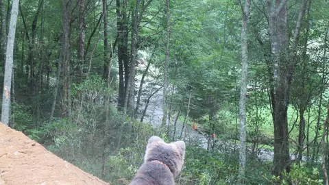 9 Mccracken Road, Bryson City, NC 28713