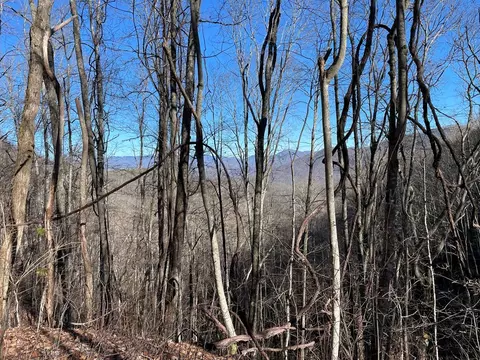 00 Milk Sick Cv, Cullowhee, NC 28723