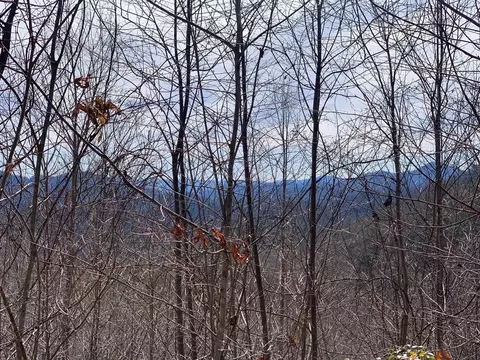 Lot 31 Turkey Run, Bryson City, NC 28713
