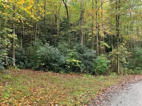 Tbd S. Rhododendron, Almond, NC 28702