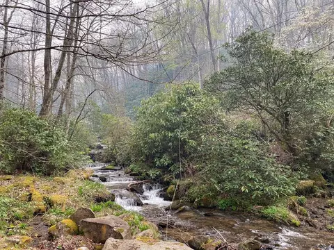 Undisclosed, Robbinsville Graham, NC 28771
