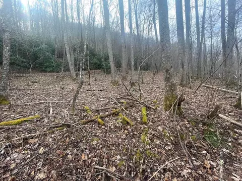 00 Beech Creek Rd, Robbinsville Graham, NC 28771