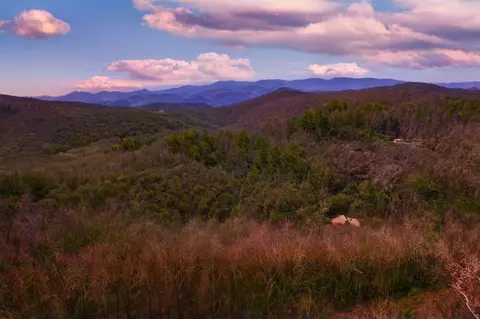 00 Bartram Rdg, Scaly Mountain, NC 28775