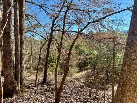 0 Patton Rd, Franklin, NC 28734