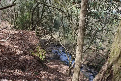 10996 Bryson City Rd, Franklin, NC 28734