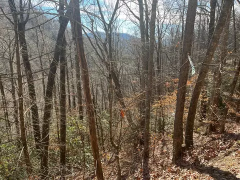 14 N Fork Rd, Sylva, NC 28779 photo 7