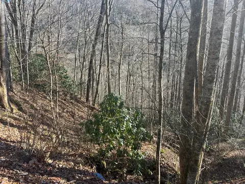 14 N Fork Rd, Sylva, NC 28779 photo 9