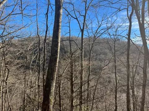 14 N Fork Rd, Sylva, NC 28779 photo 6