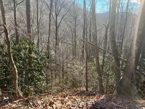 14 N Fork Rd, Sylva, NC 28779 photo 3