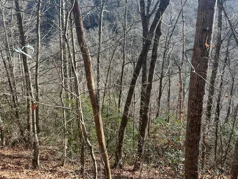 14 N Fork Rd, Sylva, NC 28779 photo 5