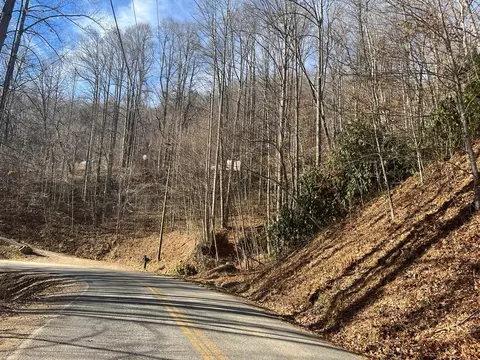 14 N Fork Rd, Sylva, NC 28779 photo 4