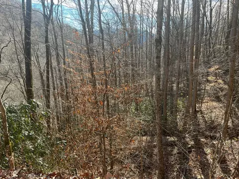 14 N Fork Rd, Sylva, NC 28779 photo 8