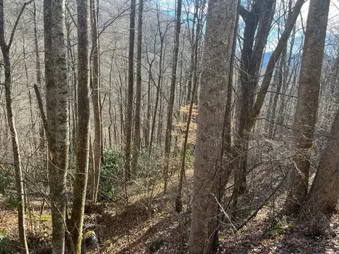 14 N Fork Rd, Sylva, NC 28779 photo 10