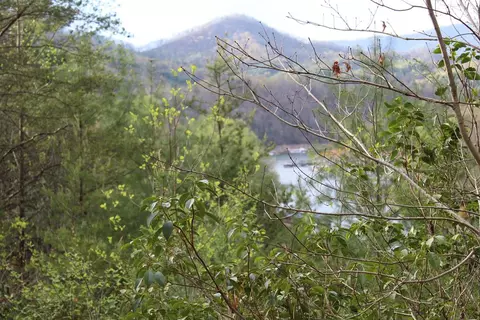 0 Hwy 28 Nhorse Br, Almond, NC 28702