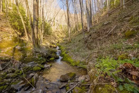 00 Buff Creek Rd, Sylva, NC 28779