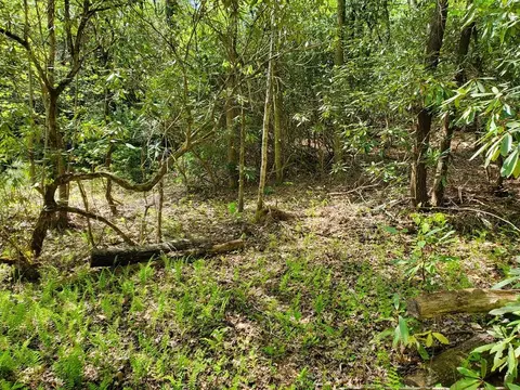 lot5 Light Horse Rd, Otto, NC 28763