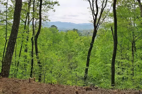 1188 Trimont Mountain Rd, Franklin, NC 28734