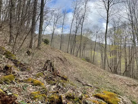 Tbd Buckhead Road, Cullowhee, NC 28723