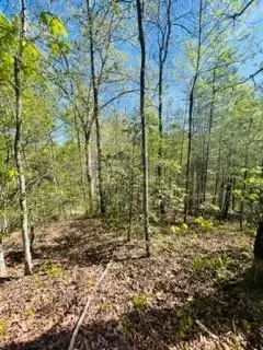0 Robinson Gap Ln, Bryson City, NC 28713