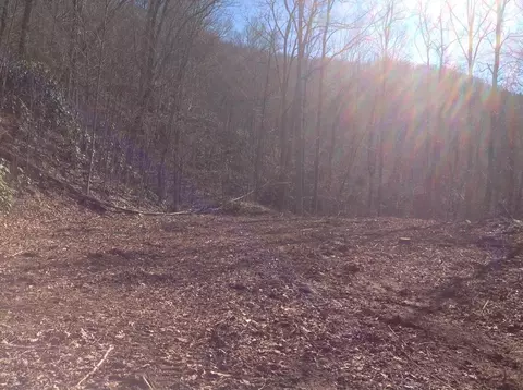 00 Brambleside Ln, Sylva, NC 28779