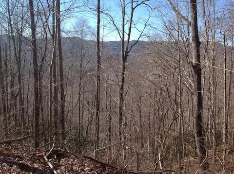 00 Brambleside Ln, Sylva, NC 28779 photo 21