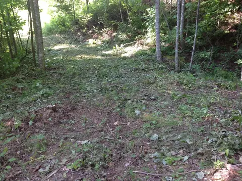 00 Brambleside Ln, Sylva, NC 28779 photo 8