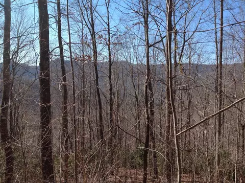 00 Brambleside Ln, Sylva, NC 28779 photo 17