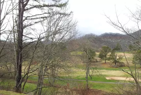 0 Mint Lake Rd, Franklin, NC 28734