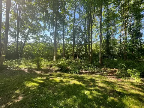 12 Younge Ln, Dillsboro, NC 28725 photo 12