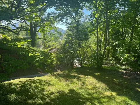 12 Younge Ln, Dillsboro, NC 28725 photo 7
