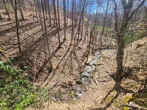 00 Blanton Br, Sylva, NC 28779 photo 5