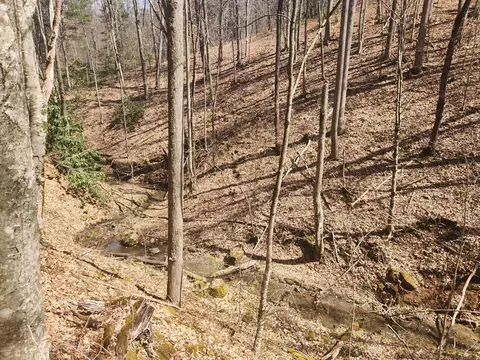 00 Blanton Br, Sylva, NC 28779 photo 3