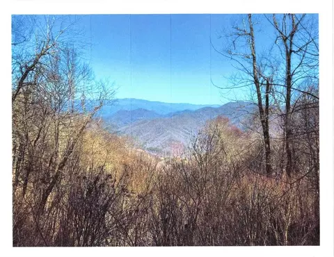 33 Butterfly Path, Bryson City, NC 28713