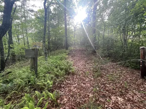 5 And 6b Mcgaha Rd, Franklin, NC 28734