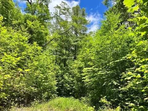 000 Mountain Brook Rd, Sylva, NC 28779 photo 7