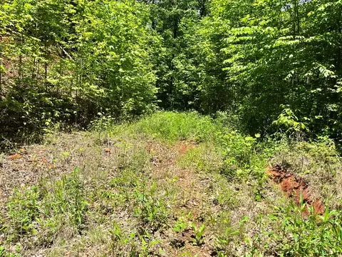 000 Mountain Brook Rd, Sylva, NC 28779 photo 6