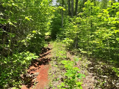 000 Mountain Brook Rd, Sylva, NC 28779 photo 5