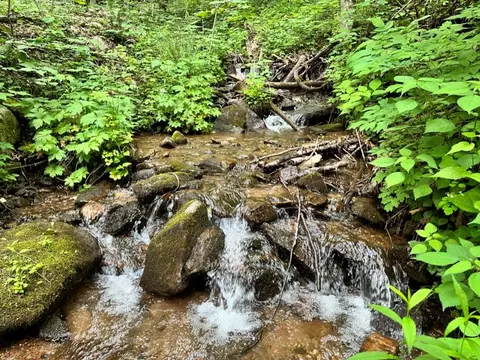 000 Mountain Brook Rd, Sylva, NC 28779