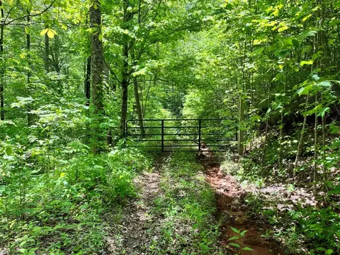 000 Mountain Brook Rd, Sylva, NC 28779 photo 4