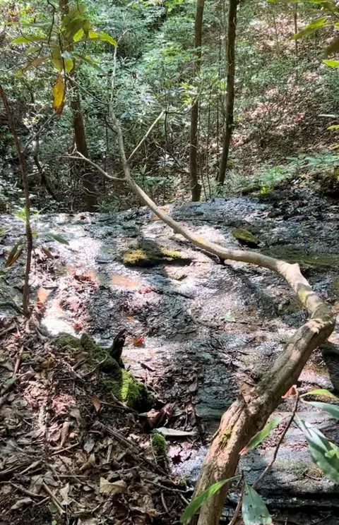 00 Wheat Field Rd, Franklin, NC 28734