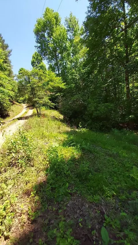 00 Dryman Fork Woods, Otto, NC 28734