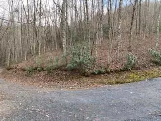 7 Red Wolfe Drive, Whittier, NC 28789