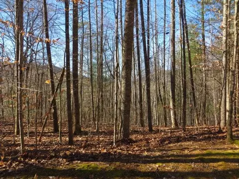 5 10 Carolina Springs Ln, Otto, NC 28763