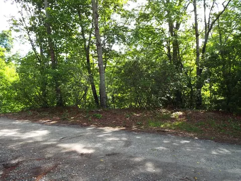 249 Dove Rd, Sylva, NC 28779 photo 8