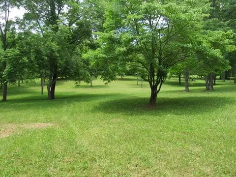 00 Morgan Rd, Franklin, NC 28734