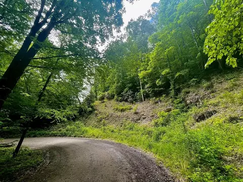 1850 Little Ellijay Rd, Franklin, NC 28734