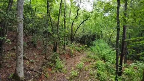 N/a N Star Lane, Sylva, NC 28779