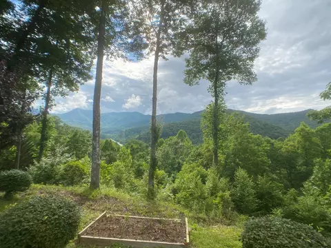 459 Safari Dr, Sylva, NC 28779 photo 4