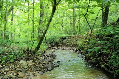 1510 Falling Leaf Trl, Sylva, NC 28779 photo 8